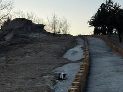 -白水寺森林公园