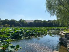 -范蠡湖公园