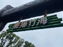 -武汉动物园
