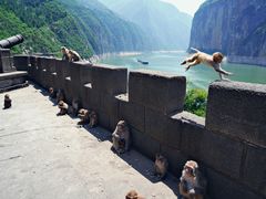 -白帝城·瞿塘峡景区