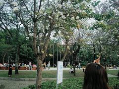 -金砂公园