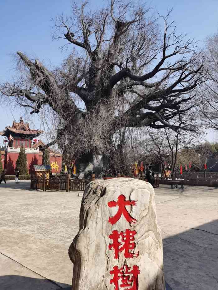 洪洞大槐树寻根祭祖园