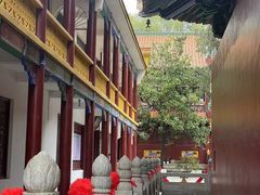 -宝通禅寺