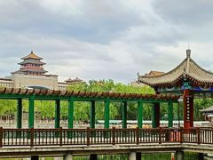 -莲花池公园
