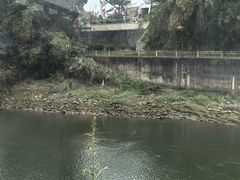 -东兴口岸-中越友谊大桥