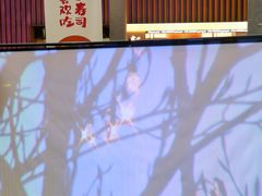 -武汉光谷K11