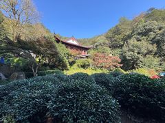 -十八棵（老龙井）御茶园(老龙井店)