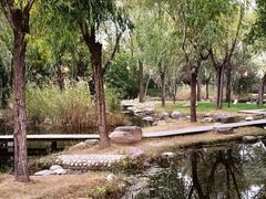-郑东新区湿地公园
