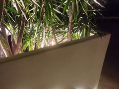 -悦哉·派对·草坪婚礼·围炉煮茶(三圣乡店)