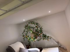 -麦子MaiMassage(打浦桥店)