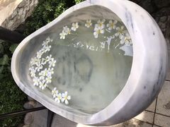 -100蛋泥浆浴