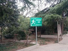 -西苑公园