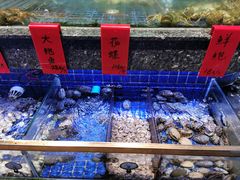 -纳福苑(亮庆餐饮分店)