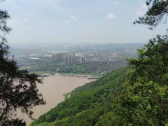 -铁山坪森林公园