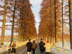 -东湖落雁景区