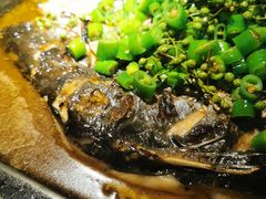 -探鱼·鲜青椒爽麻烤鱼(增城东汇城店)
