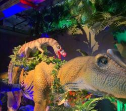 -恐龙探索乐园(磁器口店)