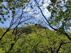 -丹东市五龙山风景区