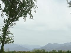 -陕西自然博物馆