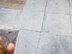 -六广门毛阿姨糯米饭