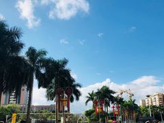 -水围村