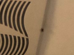 -和颐酒店(广州琶洲会展中心广州塔赤岗地铁站店)