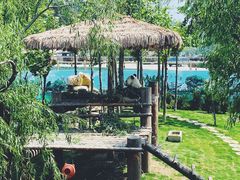 -西霞口神雕山野生动物世界