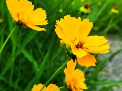 -汉长安城未央宫国家考古遗址公园