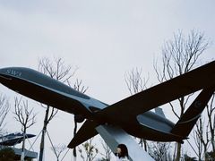 -成飞公园