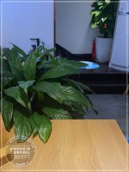 -丝域养发馆