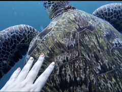 -卡帕莱度假村(西巴丹岛)