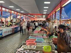 -大湾区中央湿地公园-十九涌