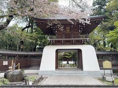 -帝京日语(春熙路旗舰校区)