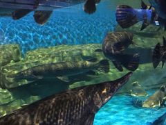 -石林冰雪海洋世界