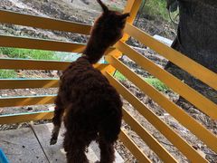 -美家乐农庄·露营·团建(大治路店)