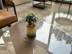 -福州泰禾铂尔曼酒店·大堂酒廊