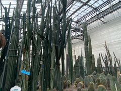 -南山植物园