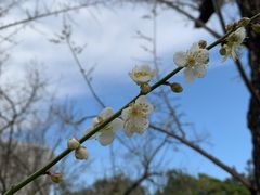 -荔枝公园(福田区)