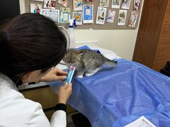 -美联众合动物医院·24h京西诊疗中心