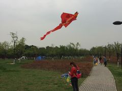 -洨河生态公园