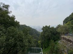 -南山植物园