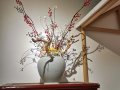 -渝信川菜 · 川味家常菜(财富购物中心店)
