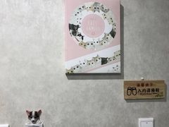-宠爱国际动物医院·疑难骨科·心肾内科·皮肤科(太阳宫店)
