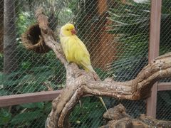 -南宫五洲植物乐园