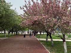 -石家庄市植物园