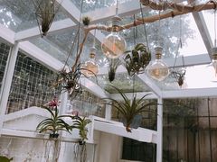 -拾壹cafe·工作室