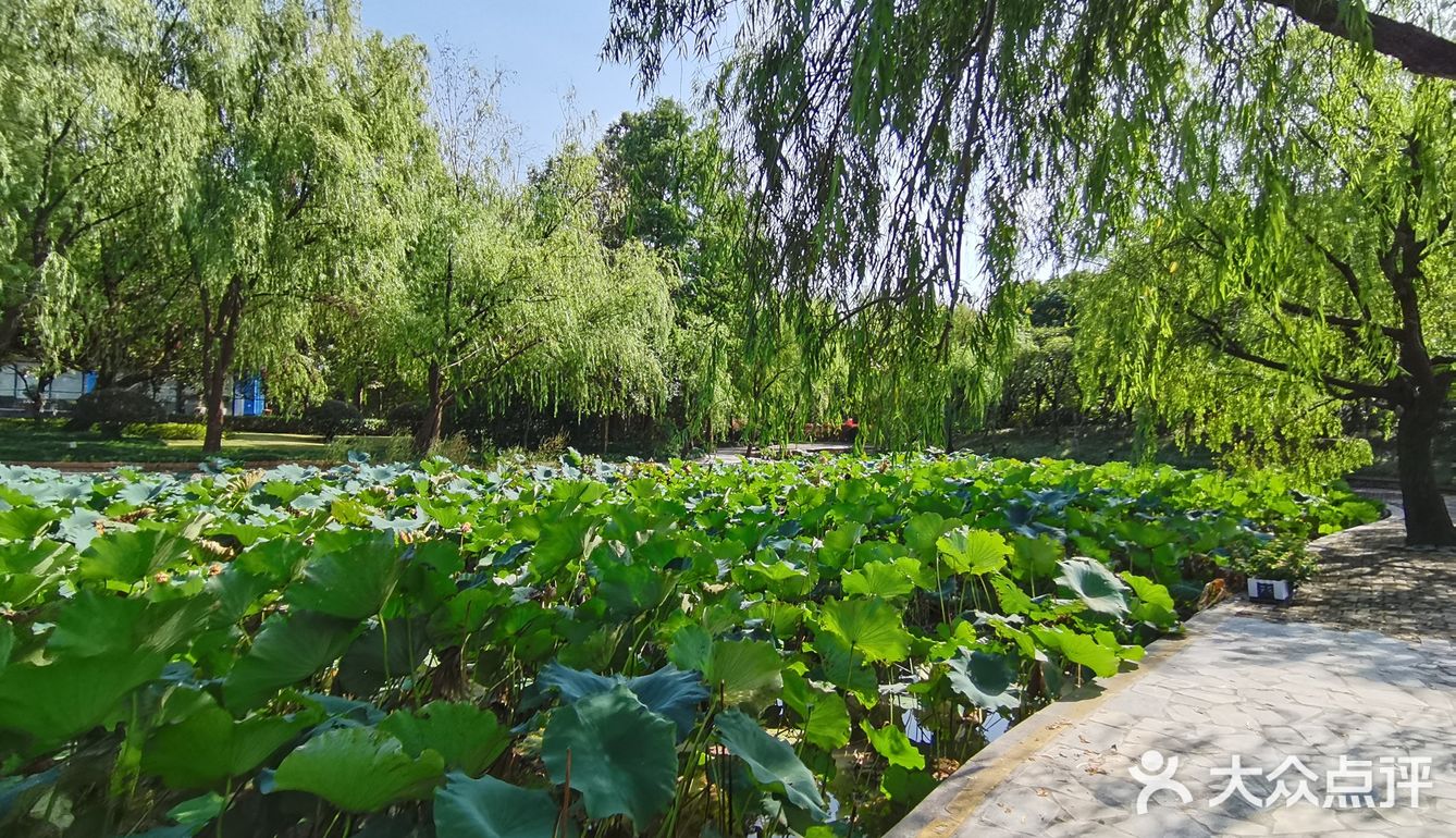 国庆游湖笔记之金桥碧云office park园区
