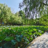 国庆游湖笔记之金桥碧云office park园区