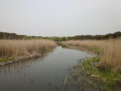 -同里国家湿地公园
