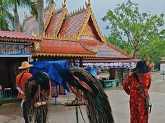 -西双版纳勐泐文化旅游区